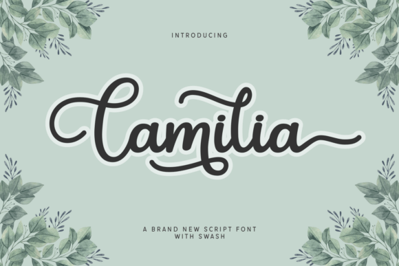 Camilia: A Script Font for Impactful Campaigns