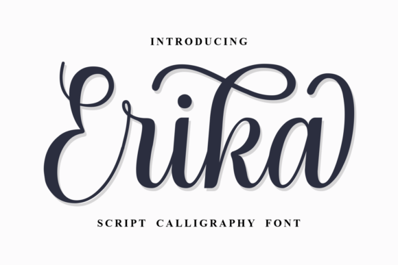 Erika Font for Web Design