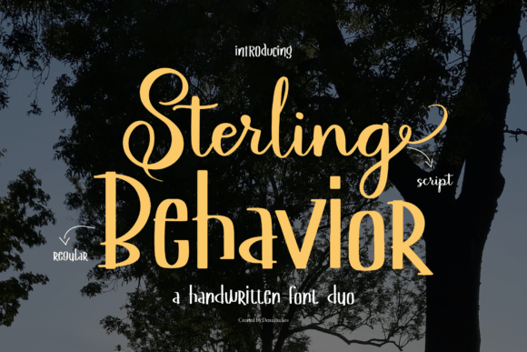 Sterling Behavior Font Review
