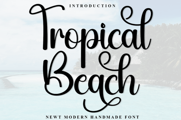 Tropical Beach Font for Elegant Branding