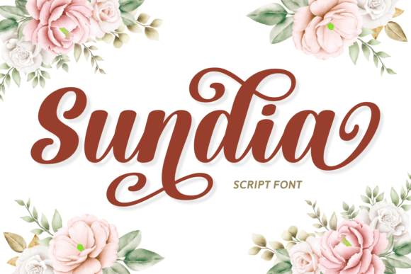 Why I Chose Sundia for My Next Campaign Typeface